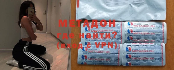 прущие грибы Абаза