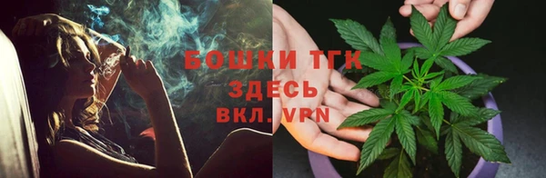 прущие грибы Абаза