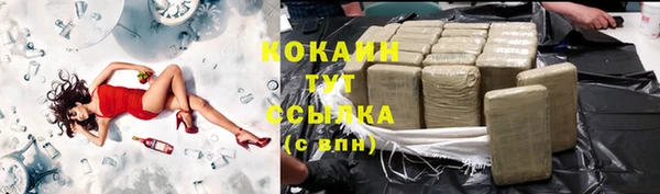 прущие грибы Абаза