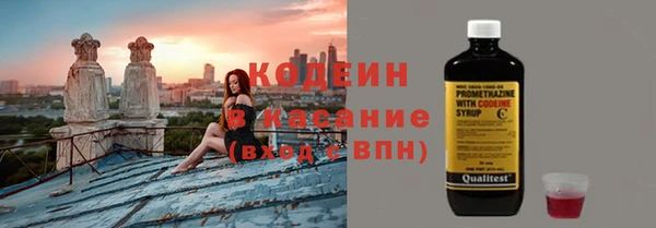 прущие грибы Абаза