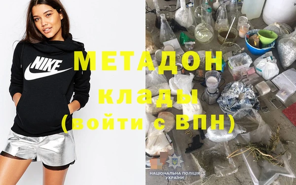 прущие грибы Абаза