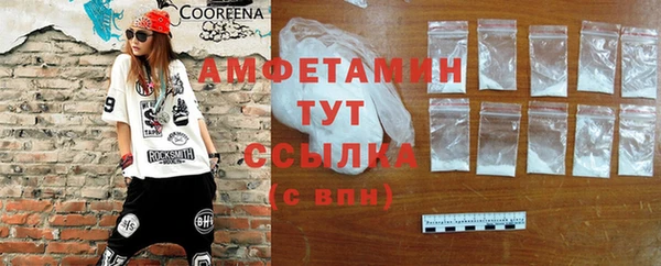 прущие грибы Абаза
