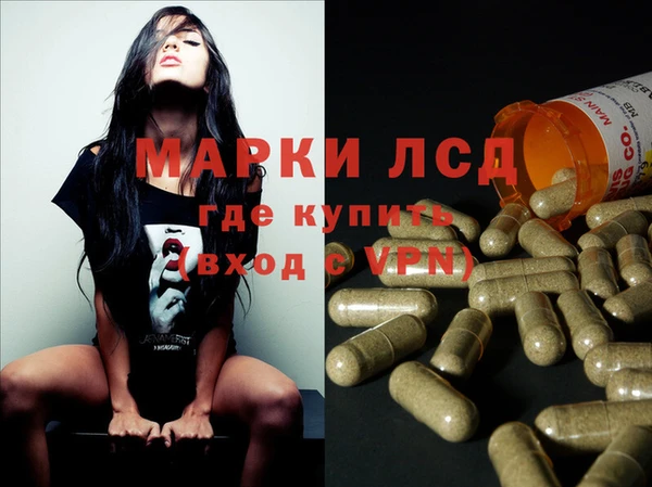 прущие грибы Абаза